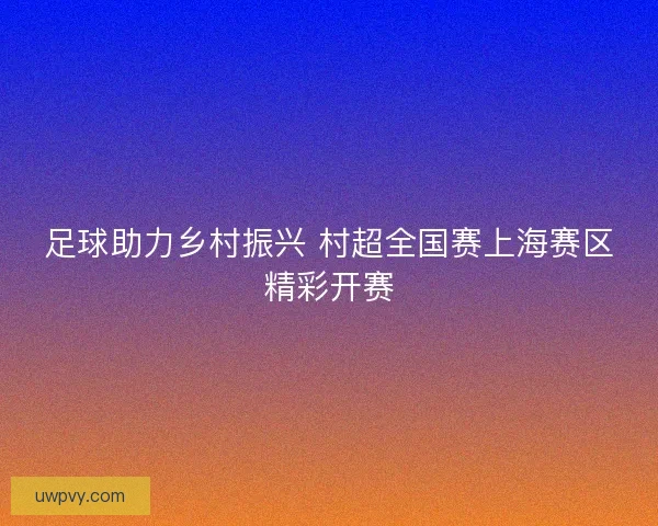足球助力乡村振兴 村超全国赛上海赛区精彩开赛